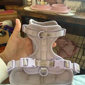 Wild one Purple Dog Harness